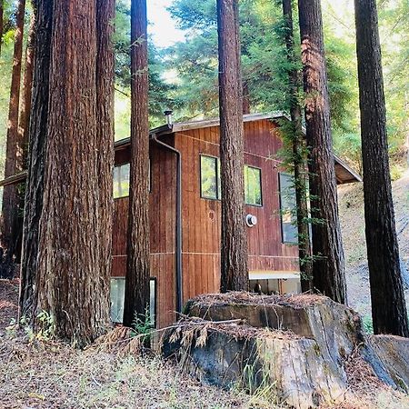 Little House In The Redwoods With A Hot Tub! Lejlighed Garberville Eksteriør billede