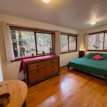 Little House In The Redwoods With A Hot Tub! Lejlighed Garberville Eksteriør billede