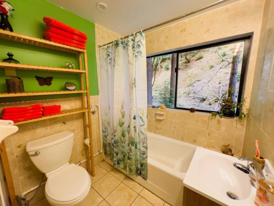 Little House In The Redwoods With A Hot Tub! Lejlighed Garberville Eksteriør billede