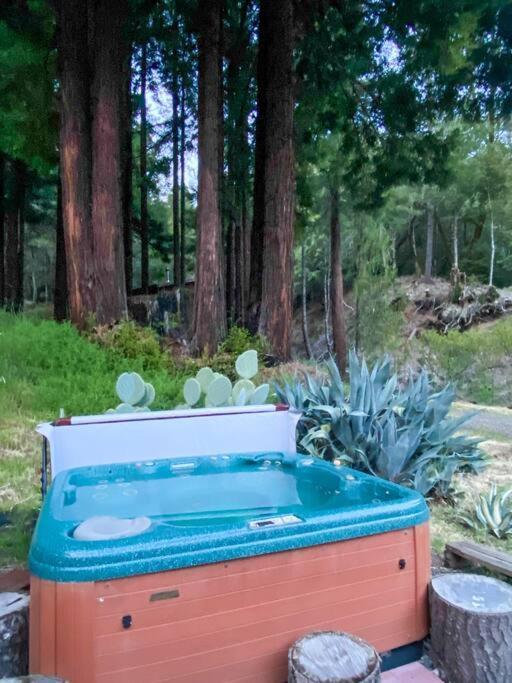 Little House In The Redwoods With A Hot Tub! Lejlighed Garberville Eksteriør billede