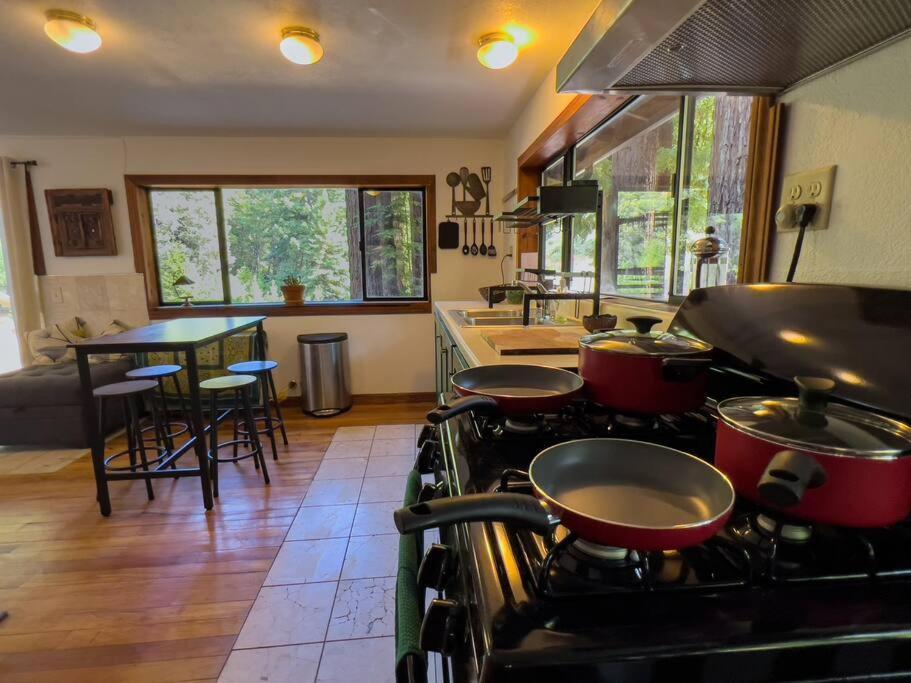 Little House In The Redwoods With A Hot Tub! Lejlighed Garberville Eksteriør billede